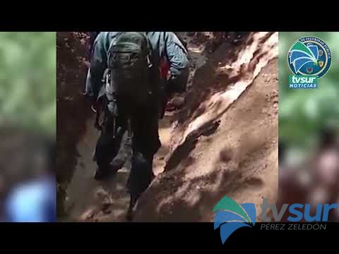 Detuvieron  a cinco personas por minería ilegal en Corcovado