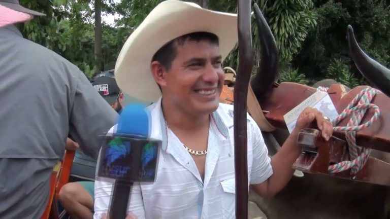 Concurrida participación de boyeros y espectadores en desfile en honor a San Isidro Labrador
