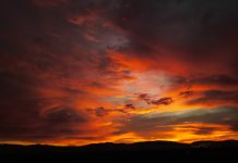 ¡Disfrute con TV Sur Digital de este verano!