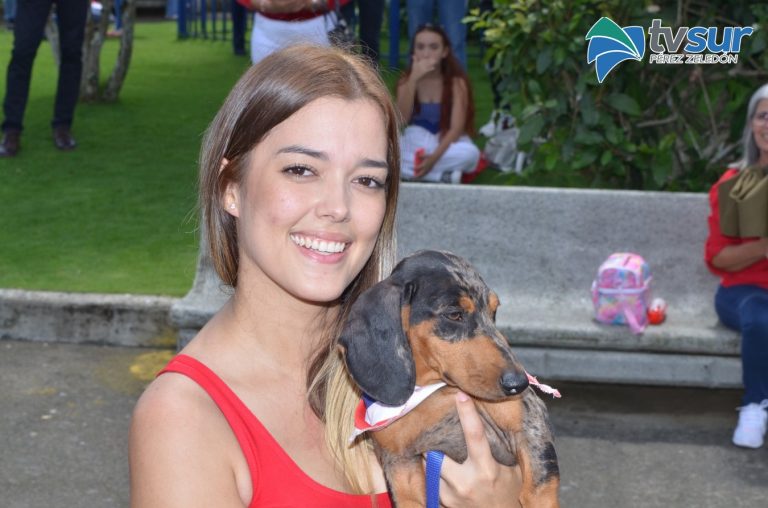 Tener un perro implica responsabilidad