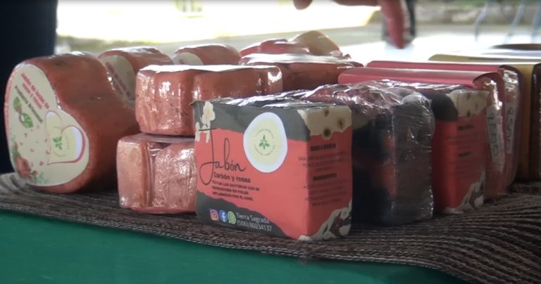 Este viernes se estrenó el mercadito de los emprendedores en El Carmen de Cajón