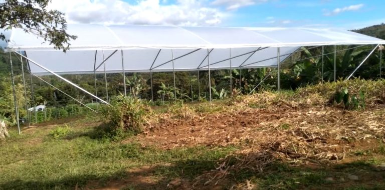 MAG apoya en la construcción de 13 invernaderos de productores en Pérez Zeledón