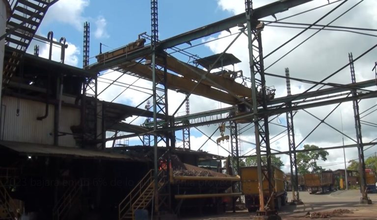 Zafra 2023 bajará en un 6% de lo que se tenía proyectado