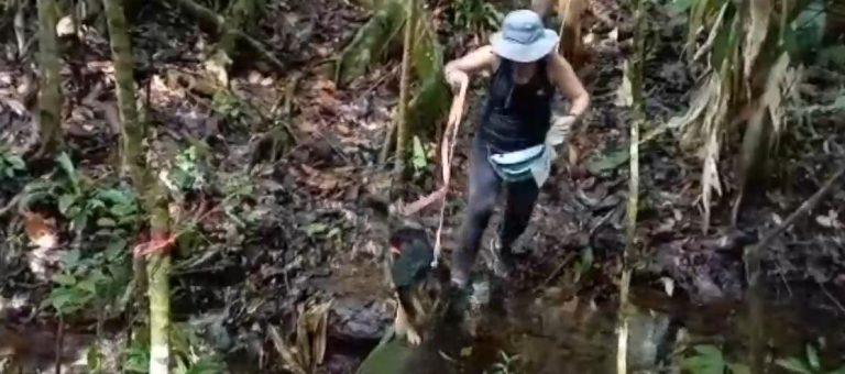 Población se sumó a colaborar con los animalitos de calle en Canicross