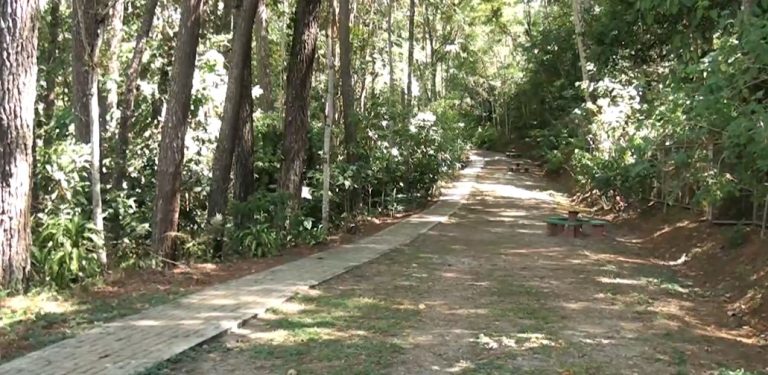 Mejoras en accesibilidad se harán en la Finca Municipal en Pérez Zeledón