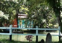 En Fudebiol tendrán un jardín de plantas nativas