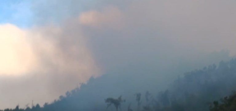 217 hectáreas consumidas por incendios forestales en el 2023, en su mayoría fuera de áreas protegidas