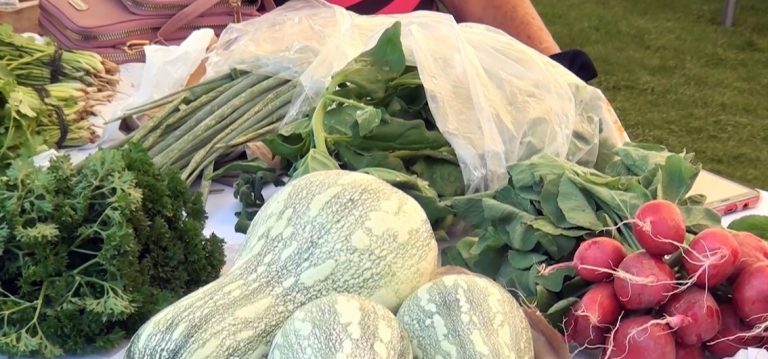 Mercadito en La Hermosa espera comenzarse el ocho de setiembre