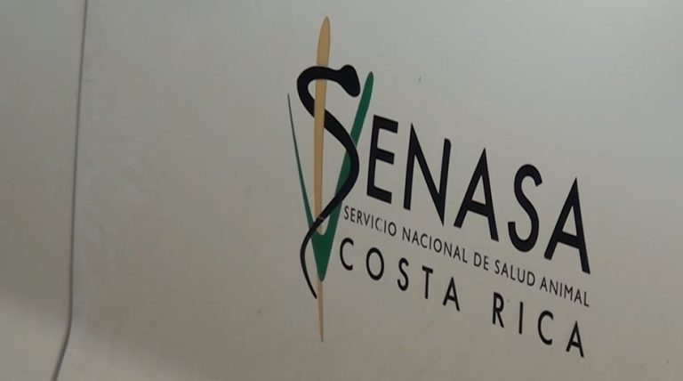 SENASA refuerza medidas en la Frontera Sur por riesgo de ingreso del gusano barrenador