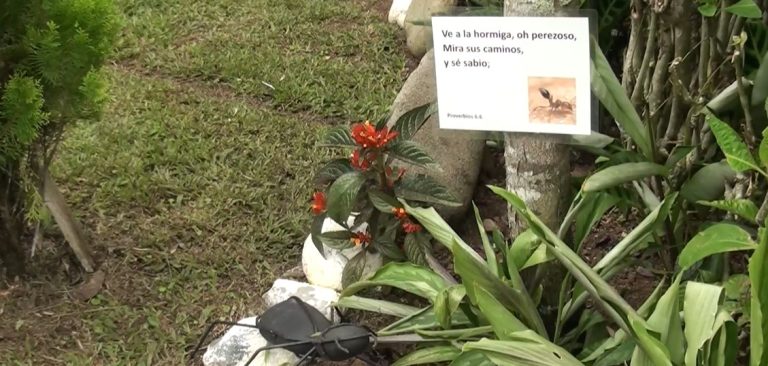 En Pérez Zeledón hay un Jardín Bíblico Interpretativo donde los pequeños aprenden de Dios
