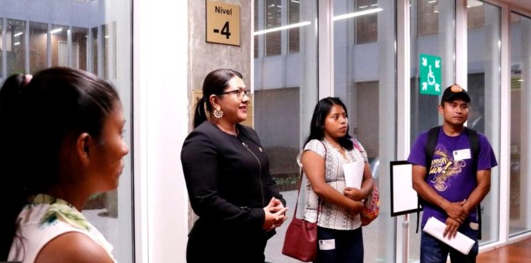 Diputada de Buenos Aires presenta iniciativa para que las juventudes indígenas tengan derecho a la participación activa