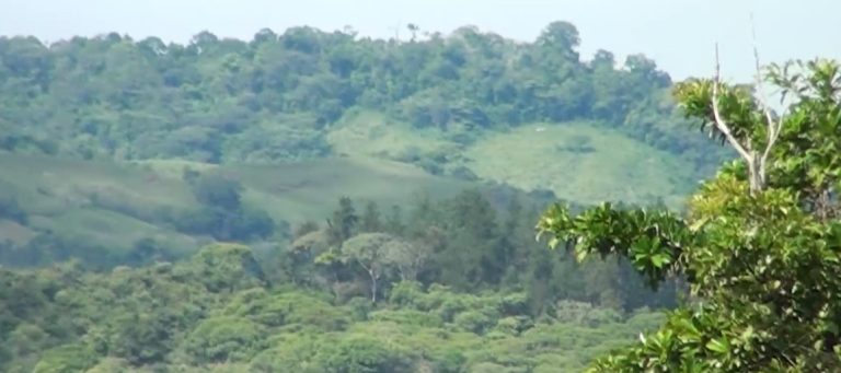 Territorio indígena de Guaymí en Coto Brus recibirá 300 millones de colones para protección de bosques