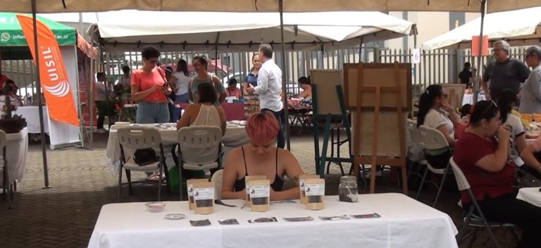 Este 25 de noviembre será la Feria de Emprendedoras Libre de Violencia