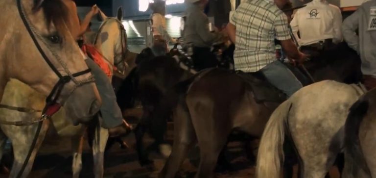 Tope Nocturno de Luces del Valle tendría cambio en recorrido y esperan mil caballistas