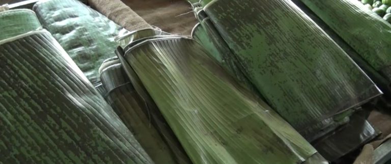 Encuentre los productos para sus tamalitos en la Feria, además de frutas y hasta queques navideños