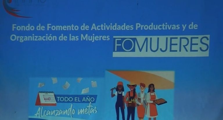 Más de 25 millones de colones de Fomujer recibieron emprendedoras de la Zona Sur en dos meses