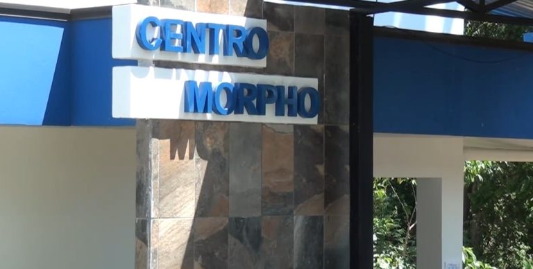 Centro Morpho recibirá nuevamente en noviembre pasantes de diferentes países