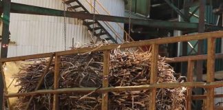 El 7 de enero inicia la zafra 2026 y proyectan 263 mil toneladas en el Ingenio Milton Fonseca de CoopeAgri