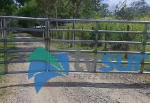 Fuerza Pública a espera de firmeza del fallo en caso Fénix para uso de la Hacienda en Pedregoso de Pérez Zeledón