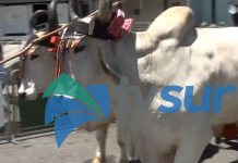 1 al 17 de mayo serán los festejos patronales en honor a San Isidro Labrador