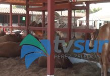 Club de Leones asumirá cobro de entradas de la Expo P.Z. 2026