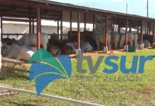 Dos organizaciones sociales serán beneficiadas con servicios que darán en la Expo P.Z. 2026