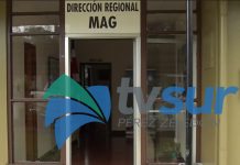 Feria de Empleo del MAG: 2 y 3 de setiembre en Corredores, cuatro y cinco en Pérez Zeledón