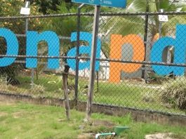 Pérez Zeledón recibirá esta semana a los participantes del curso del Tercer País sobre el Empoderamiento de Personas con Discapacidad