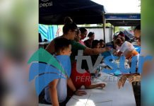Harán taller y vuelo de papalotes este sábado en el Festival de Ballenas y Delfines