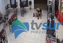 Hombre que intentó robar cartera a joven acepta cargos y se encuentra en prisión. Sujeto había salido hace 15 días de centro penal