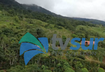 En noviembre será la celebración del 30 Aniversario de la creación del distrito Biolley de Buenos Aires