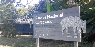 Visitación e inversiones son analizas en mesa de trabajo sobre el Parque Nacional Corcovado