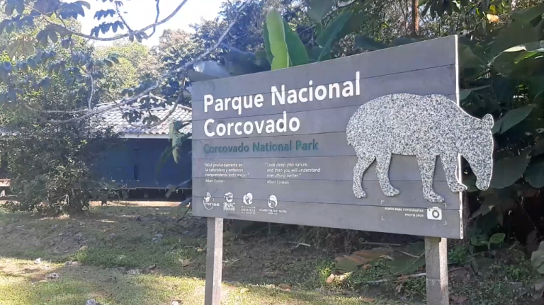 Visitación e inversiones son analizas en mesa de trabajo sobre el Parque Nacional Corcovado