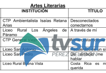 Estos son los ganadores del FEA Regional en Pérez Zeledón