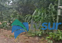 Vecino de Barrio el Pocito en San Isidro de El General expuso necesidad de trabajos para evitar daños