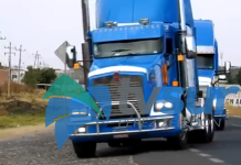 Desfile de cabezales beneficiará a la Asociación Raíces de Esperanza