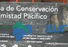 ACLAP pide a la población adquirir lana certificada para adornos