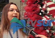 Propuesta de una sección bilingüe en el Liceo Unesco es analizada en el MEP