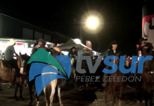 Caballistas destacaron organización del Tope Nocturno del Festival Luces del Valle 2025