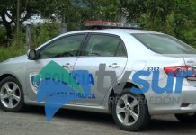 Una patrulla de Fuerza Pública para tres distritos, síndico de Platanares solicitó refuerzo policial