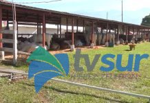 Presentaron detalles sobre la próxima Expo PZ 2026, convenios con organizaciones son base de fiestas que comienzan el 12 de febrero