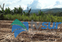 En el MAG buscan crear conciencia en los productores sobre la importante de sacar los permisos para la quema de los cañales