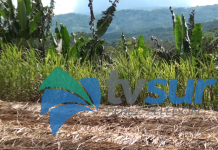 Un 95% de la mano de obra para la corta de caña de azúcar es nicaragüense