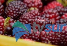 Regresa la Carrera de la Mora en el Jardín de Páramo