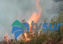 Incendios en charrales pueden comprometer estructuras, bomberos piden evitar las quemas