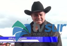 Tope de la Expo P.Z. 2026 reunió a caballistas de todo el país