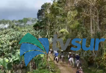 Cabalgata de San Carlos de La Amistad los espera este domingo ocho de febrero