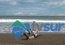 Siete puestos de playa tendrá la Cruz Roja en el pacífico sur durante la Semana Santa