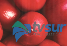 San Juan Norte de Rivas los espera del 20 al 22 de marzo con la Feria Regional Chirripó 2026