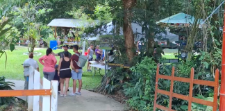 Caminata, actividades culturales, talleres y otros en la Feria del Día del Árbol en Fudebiol